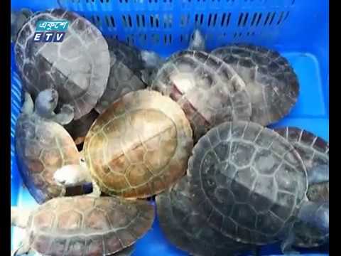 সুন্দরবন বন্যপ্রাণী প্রজনন কেন্দ্রে সফলতা