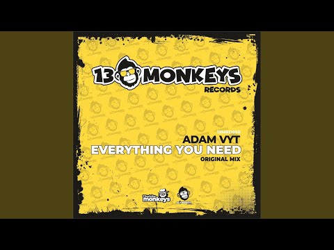 Everything You Need (Radio Edit)