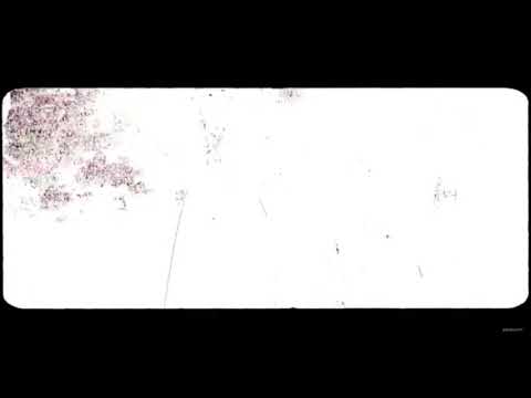 Szymi Szyms - brzydkie ale tylko Zetha