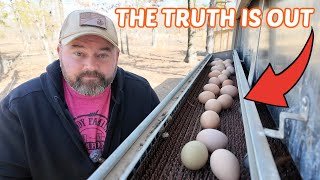 It's Not The Bird Flu... The Truth Why Egg Prices Are So Expensive