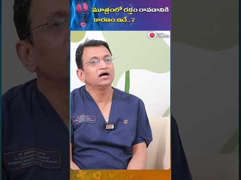 మూత్రంలో రక్తం రావడానికి కారణం ఇదే..! Blood in Urine #shorts #youtubeshorts #TeluguOneHealth