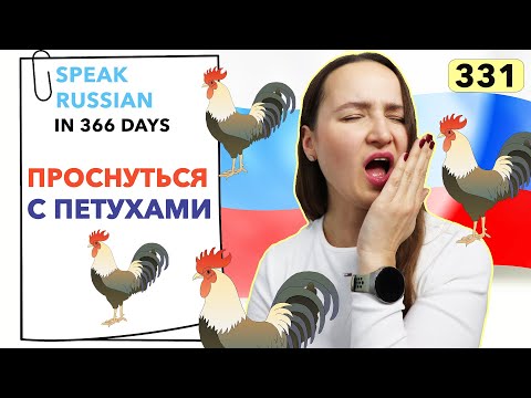 🇷🇺DAY #331 OUT OF 366 ✅ | SPEAK RUSSIAN IN 1 YEAR