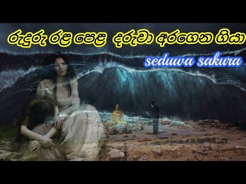 රුදුරු රළ පෙල | ruduru rala pela |  seduwa sakura | 22 Room