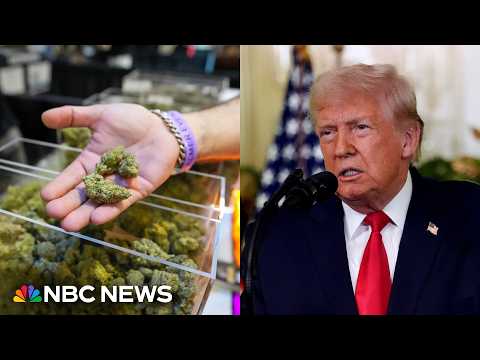 Trump expected to ease cannabis restrictions through executive order