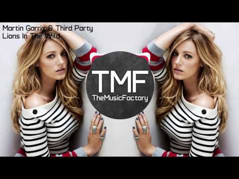 Martin Garrix Third  Party  -  Lions In The Wid - TMF