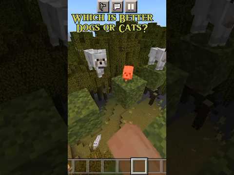 Minecraft:Are You Team Dog Or Team Cat?🤔 #minecraft #shorts @dracugamerz