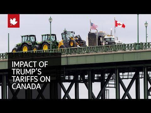 Examining the impact of Trump's 'Liberation Day' tariffs on Canada