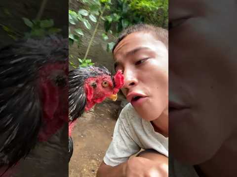 ARUBU #cearense #cearense2025 #baiano #viral #videoengraçado