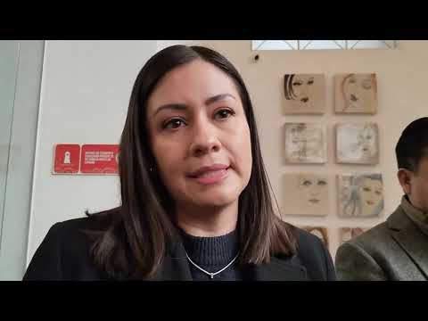 Ni Parra ni Artemisa violan la ley electoral 