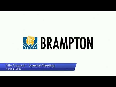City Council - Special Meeting - March 11, 2022