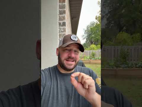 This Is INCREDIBLE… #shortsvideo #shortsfeed #atf #congress #biden #scotus #langley #kamala #goa Thumbnail