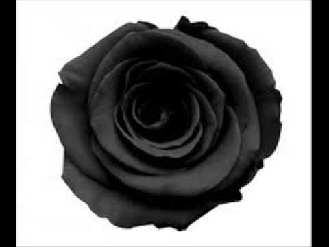 FG   La Negra Rosa - Dionisio Garrido