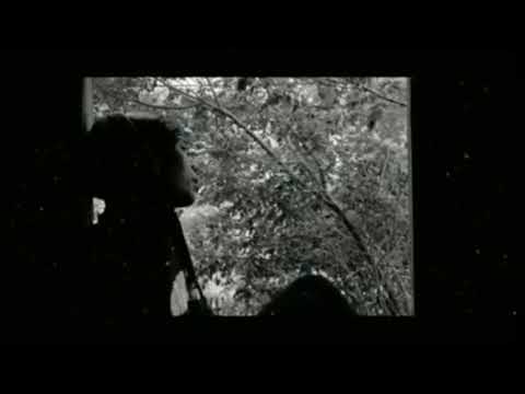 SlowMinDead - Nobody Knows (Remix)