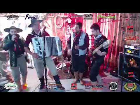 Coice de mula chucra