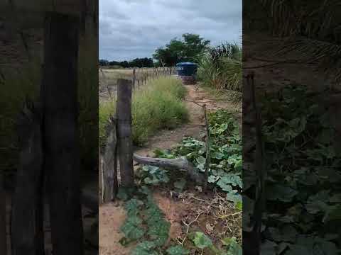 Poço artesiano em Dormentes Pernambuco.