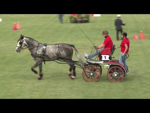 2019.09.08. Kombinált akadályhajtás - 5 évesek