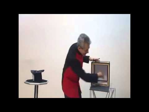 Everything to 4 Dove Cages