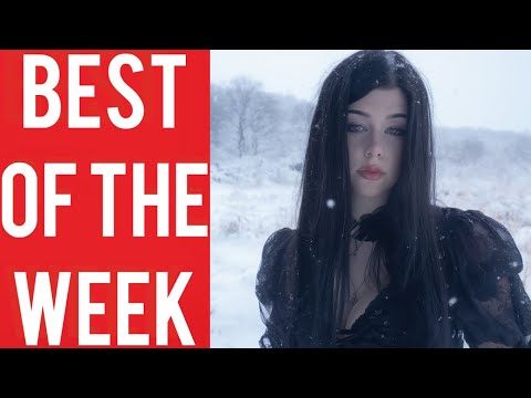 Top Wild Funny Fails to Light Up Your Day! Funny Compilation! January 2026!