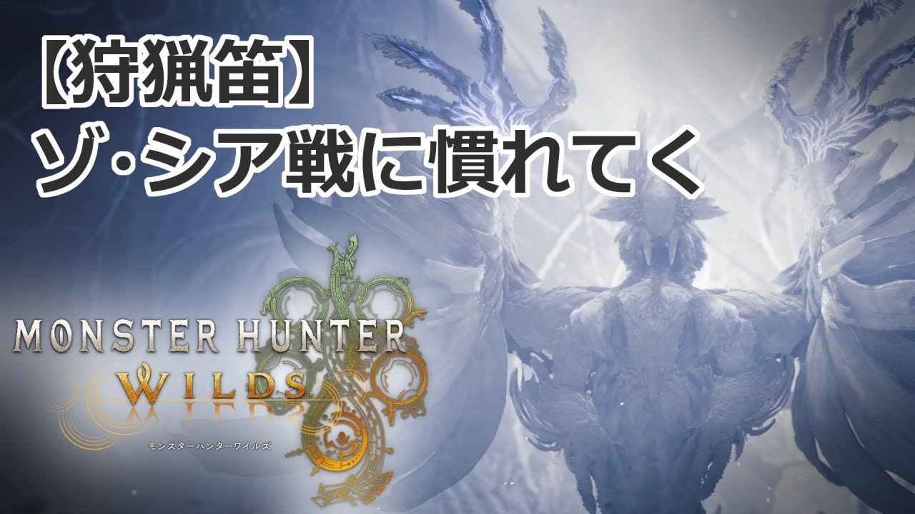 【4K】【モンハンワイルズ】ゾ・シア戦に慣れてく【狩猟笛】