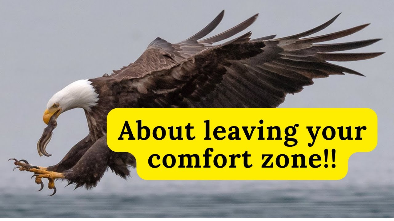 Wise Quotes About Leaving Comfort Zone  | Life Changing Motivational Video