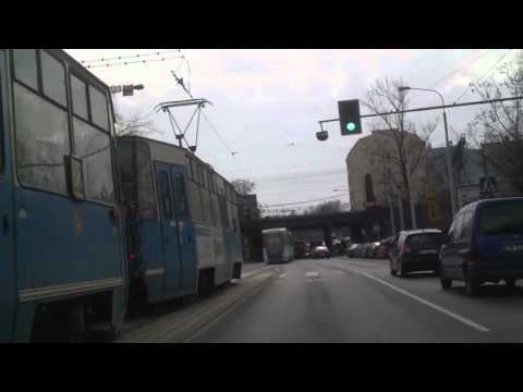 Debile na pasach // Idiots on crosswalk