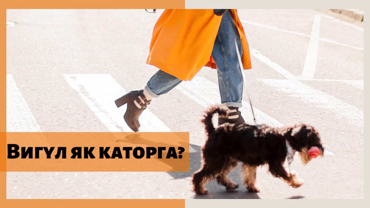 YouTube video preview