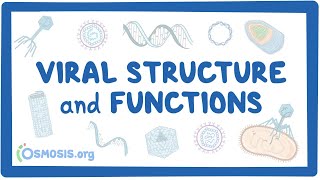 Viral Structure and Functions