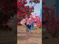 Freestyle Dimusim Semi Jepang Freestyle Japan Juggling