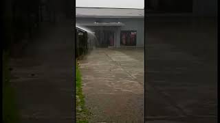 Download lagu Hujan deras di sore hari cocok untuk quotes & story wa 30 detik short video mp3