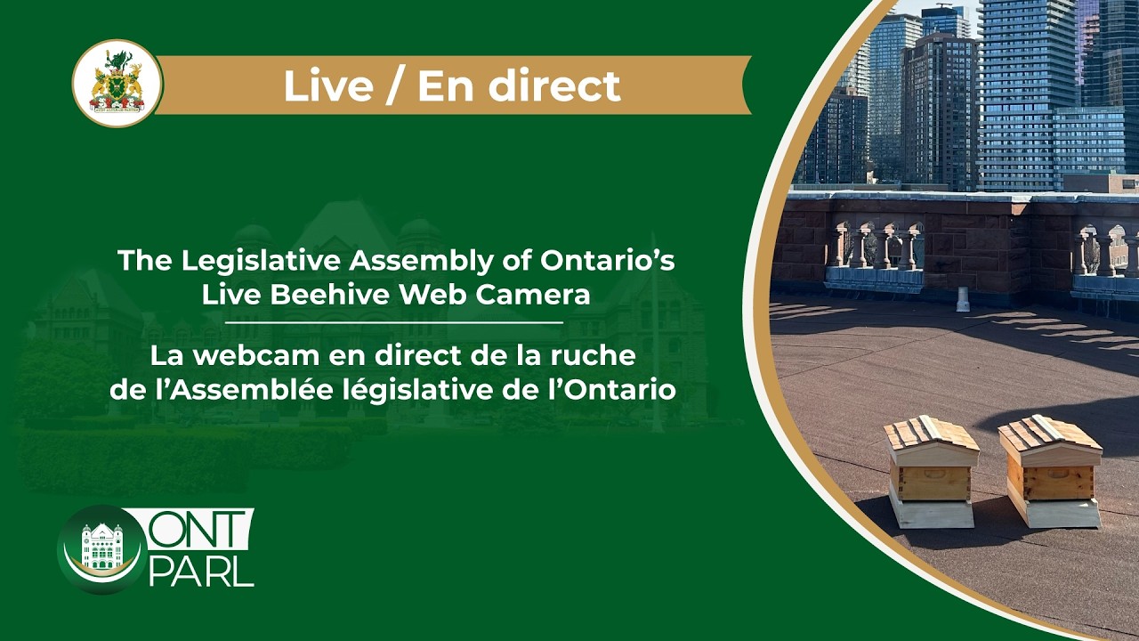 Live webcam view of Queen's Park Legislature Rooftop Beehives