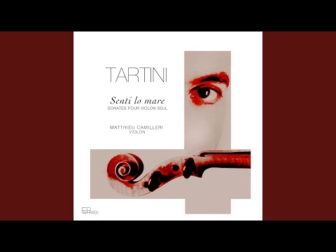 Sonata No. 22 in A Minor, B.a2: III. Presto