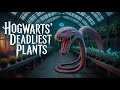 5 Most DEADLY Plants In Harry Potter That Could KILL You Complete Guide