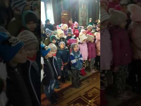 Colindatori Parohia Iazu, Ialomita