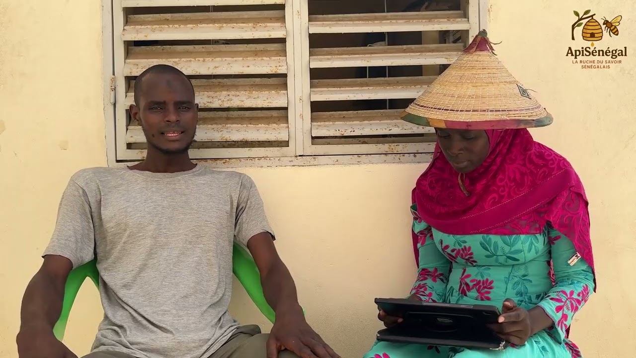 Présentation de l'apiculture