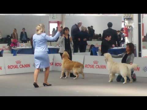 EverMagic - Astrid Ris Cac Raduno Montichiari 2016