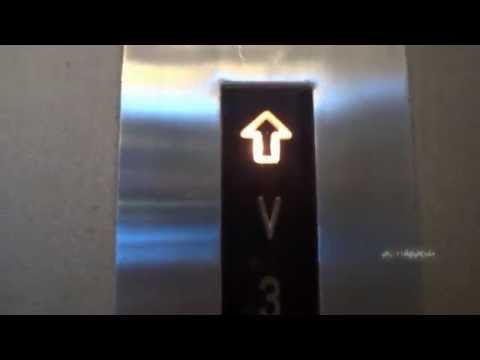 Large industrial Fortuna goods lift