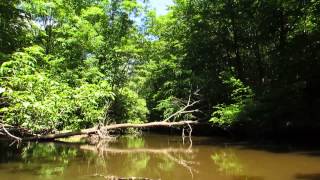 preview picture of video 'Kayaking Tuckahoe Creek, Maryland'