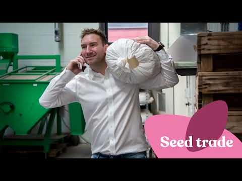 Evanthia | Laying the foundation together, from seed to success