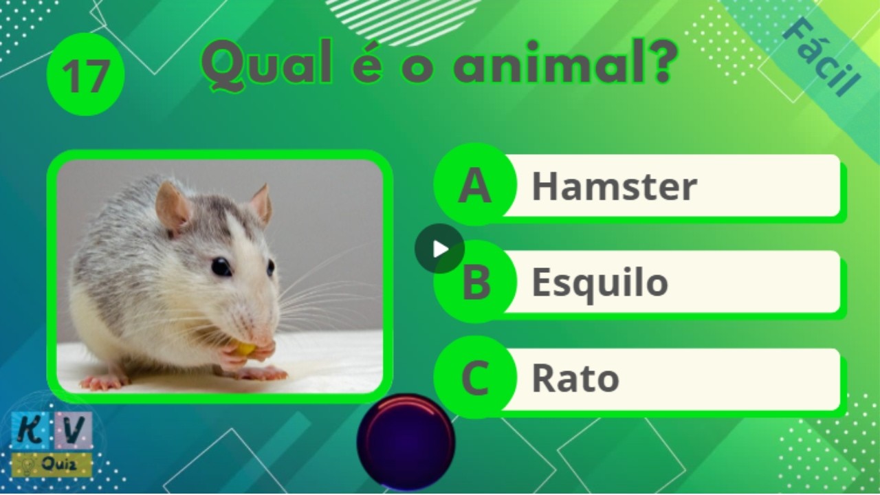 Desafio: qual é o animal? Quero ver você acertar todos!