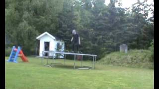 Bad Case of Loving you - Robert Palmer + Lyrics