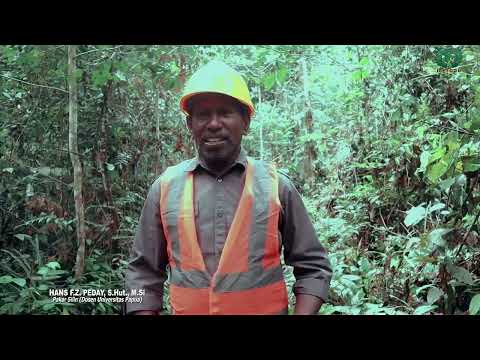 Dokumenter Pembekalan Sistem Silvikultur Intensif Merbau  DI PBPH Lingkup Provinsi Papua Barat