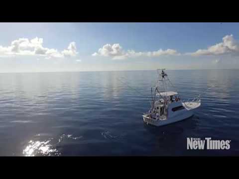 Mark The Shark, Miami's Most Famed Deep Sea Hunter