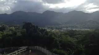 preview picture of video 'Adjuntas - Animals and View from Hacienda Maribó in Puerto Rico'