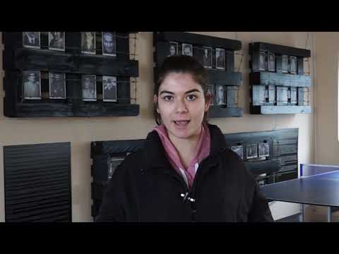 Ҫfarë po përfitojnë të rinjtë nga frekuentimi i Qendrës Rinore Multifunksionale H.A.N.A?!