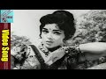 కొమ్మల్లో Palapitta వీడియో సాంగ్ పిడుగు రా�