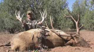 Archery Elk Hunt