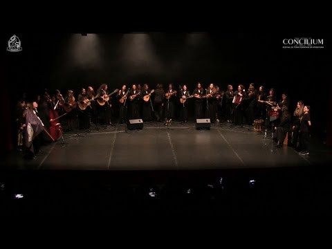 XX Concilium (Noite de Espetáculo) - C'a Tuna aos Saltos