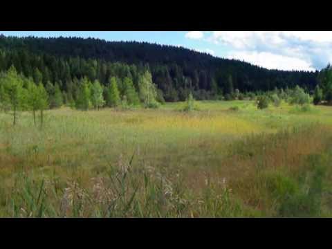 Palù delle Regole di Castelfondo - 09.09.2013