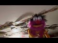 Animal Sings Bang The Drum All Day