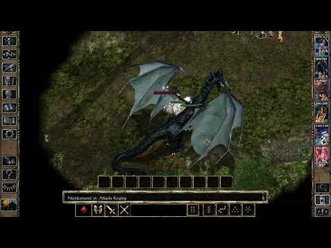 Why Berserker Mage is dumb